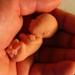 Dois eventos online chamam atenção à defesa das duas vidas na luta contra aborto